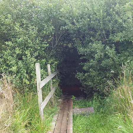 Vakantiehuis 6 Person In Oksbol-by Traum