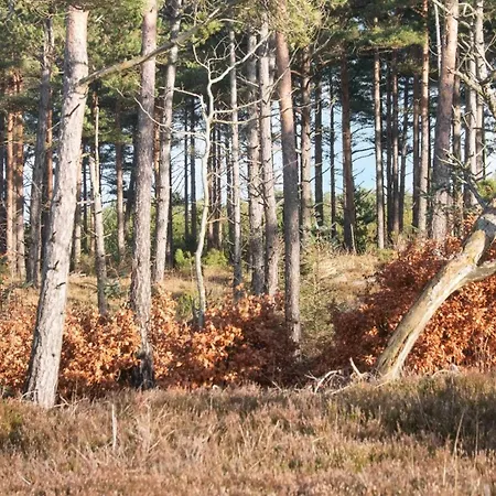 6 Person In Oksbol-by Traum Oksbøl