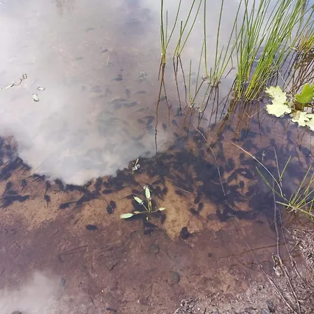 6 Person In Oksbol-by Traum Oksbøl