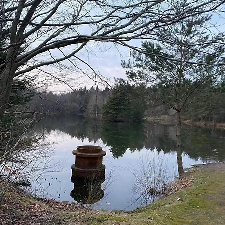 6 Person In Oksbol-by Traum