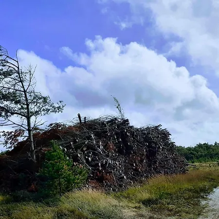 6 Person In Oksbol-by Traum Casa vacanze