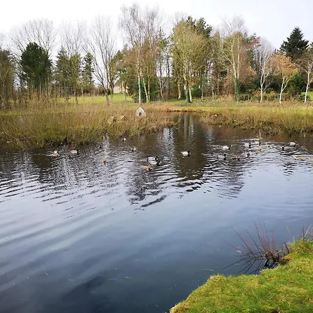 6 Person In Oksbol-by Traum *